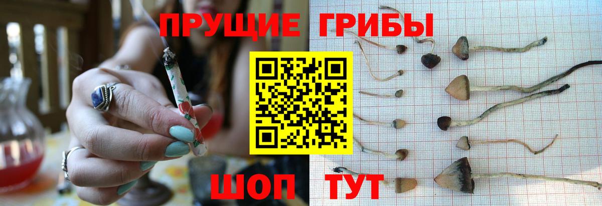 Псилоцибиновые грибы мицелий  Вход с VPN  где купить наркоту  Надым 